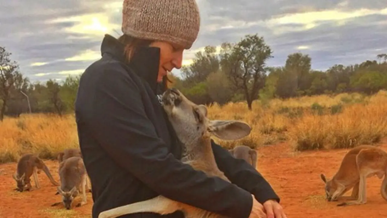 copyright by kangaroosanctuary.com