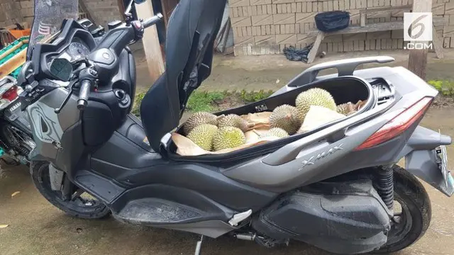 Warganet dibuat kagum dengan unggahan dari pengguna instagram @hawinpasti yang menunjukkan sebuah motor dapat mengangkut belasan durian di dalam bagasinya.