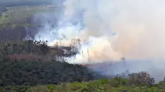 (Liputan6 TV)