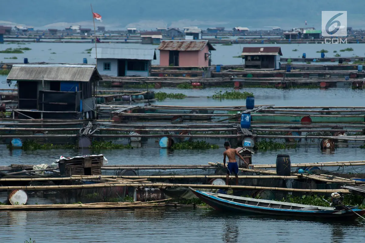 Potret Petani Kerambah Jaring Apung Waduk Jatiluhur