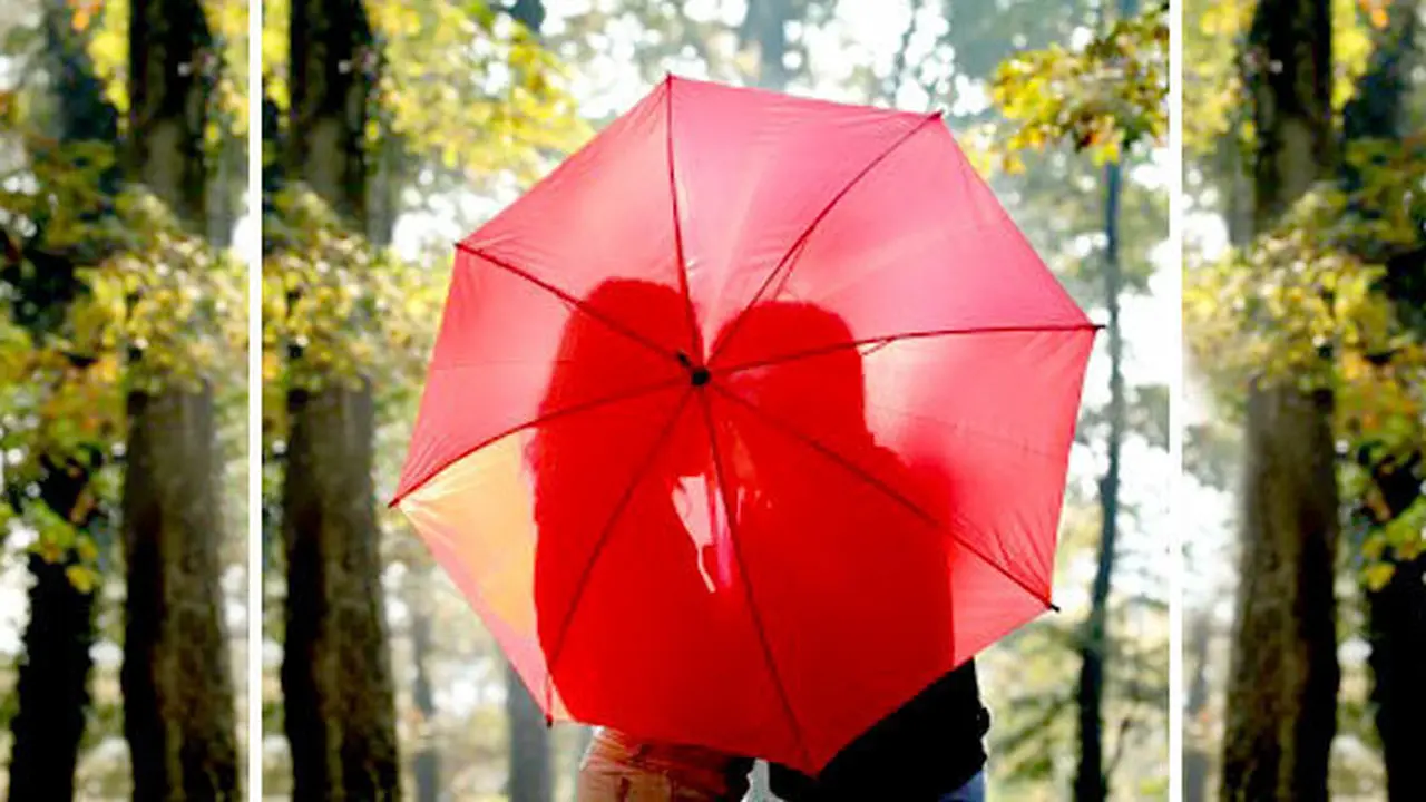 Foto: coypyright shutterstock.com