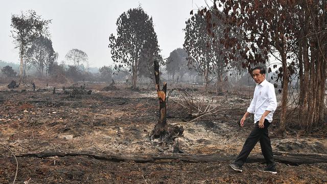 Tanpa Masker, Jokowi Tinjau Lokasi Kebakaran Hutan di Pekanbaru