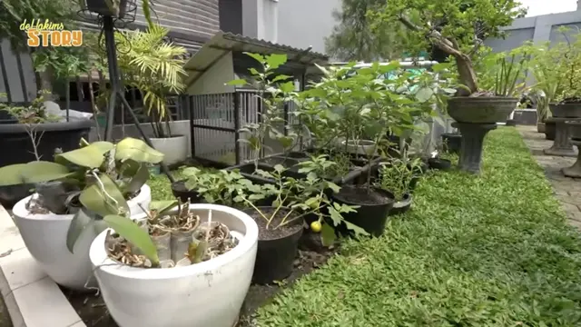 Potret Kebun dan Kandang Mini di Rumah Ayu Ting Ting