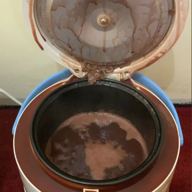6 Momen Apes Masak Pakai Rice Cooker Ini Bikin Elus Dada, Suasana Hati Jadi Buruk