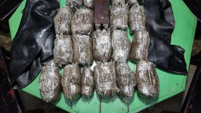 TNI Kembali Gagalkan Penyelundupan Ganja di Perbatas RI-PNG Lewat Ban Dalam