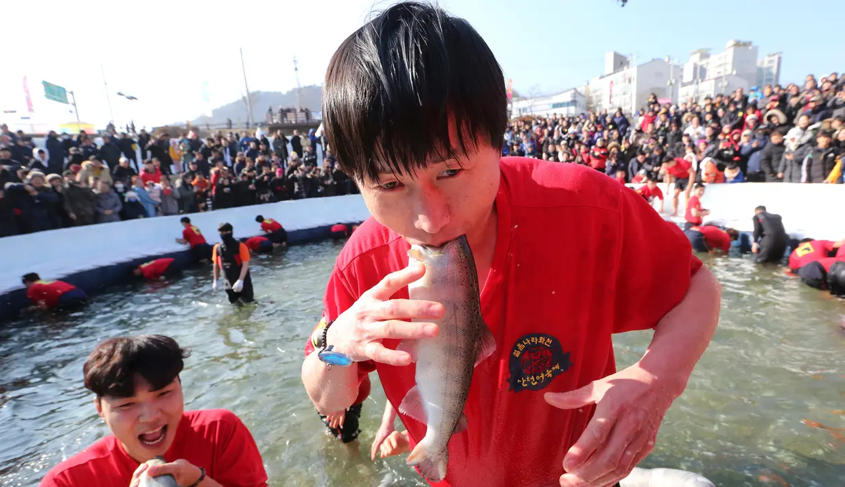 Peserta memegang trout di mulut setelah menangkapnya selama kontes menangkap ikan di Hwacheon, Korea Selatan, Sabtu (5/1). Kontes ini merupakan bagian dari festival es tahunan yang menarik lebih dari satu juta pengunjung setiap tahun. (AP/Ahn Young-joon)
