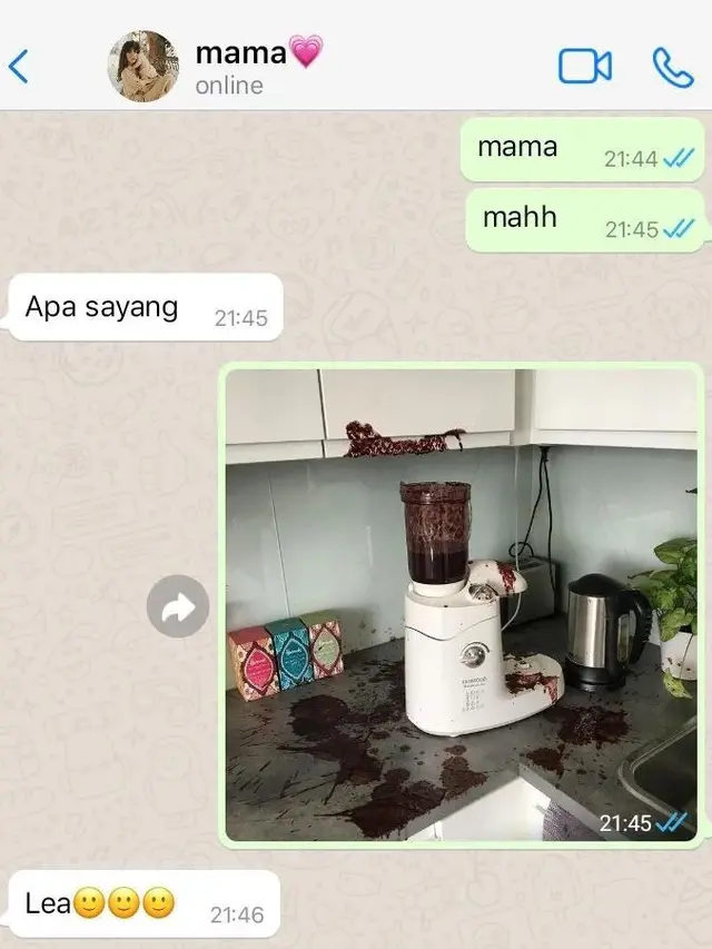 6 Chat Anak Lapor Mama Saat Gagal Masak Ini Bikin Senyum Tipis
