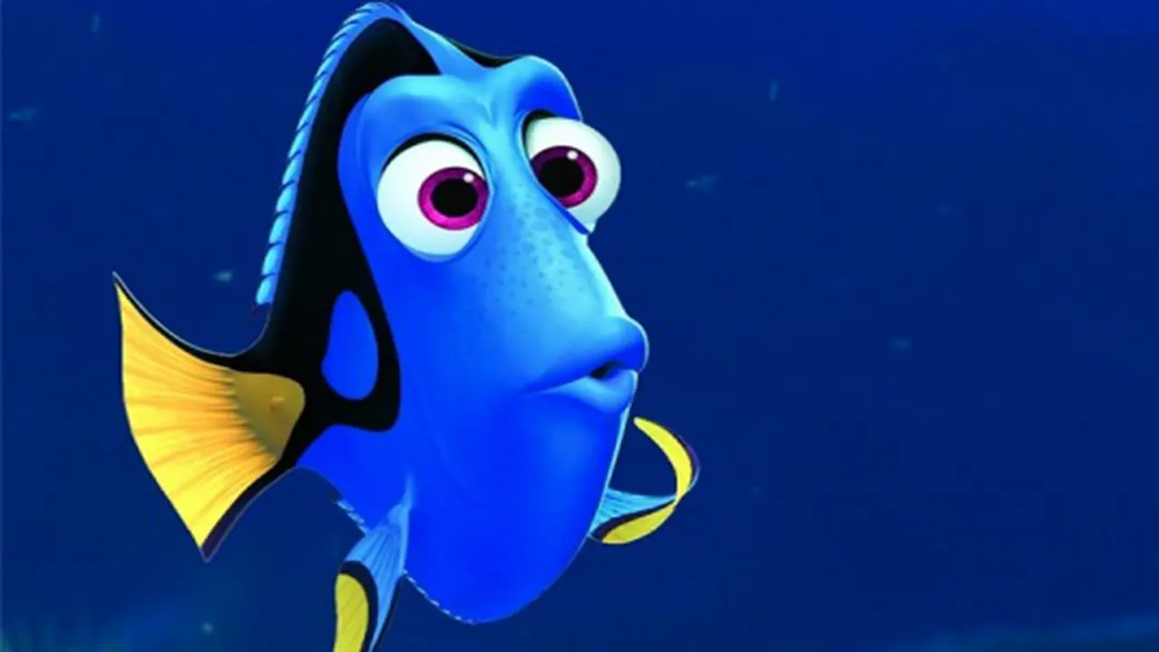 Finding Dory