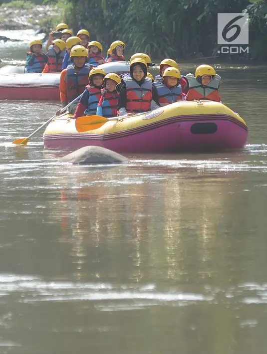 Murid TPQ Kelopak Kalisari Jakarta bertualang arung jeram khusus anak di kawasan Bendungan Katulampa, Bogor, selasa (20/11). Rafting di aliran Sungai Ciliwung ini diadakan Hiking Bocah melibatkan partisipasi masyarakat lokal. (Merdeka.com/Arie Basuki)