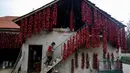 Warga menaiki tangga yang tembok rumahnya penuh dengan gantungan paprika merah untuk dikeringkan, di Desa Donja Lakosnica, Serbia, 6 Oktober 2016. Saat musim panen, warga menjemur paprika di dinding hingga atap rumah. (REUTERS/Marko Djurica)