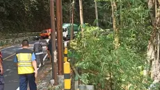 Jalan Penghubung Jember-Banyuwangi Retak 40 Meter, Lokasinya Dekat Jurang