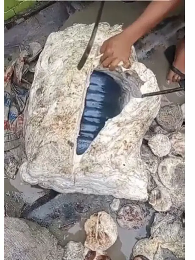 Pria Ini Kaget Temukan Getah Karet yang Dibelinya Berisi Galon, Bikin Elus Dada