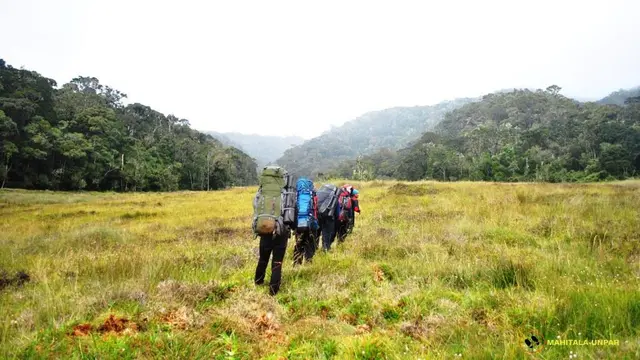 Savana di Gunung Geureudong