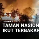 Taman Nasional Ikut Terbakar