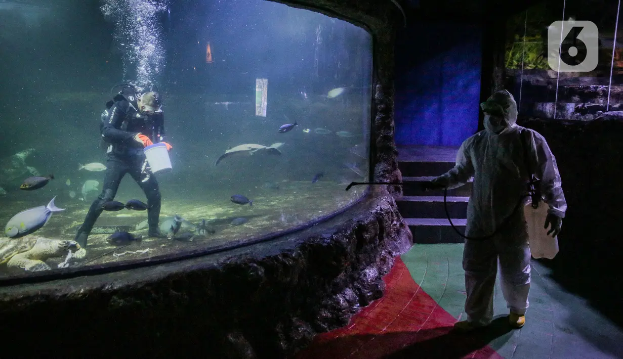 Petugas menyemprotkan disinfektan area Sea World, Ancol, Jakarta, Sabtu (14/3/2020). Taman Impian Jaya Ancol ditutup sementara. Hal ini sesuai Instruksi Gubernur DKI Jakarta Nomor 16 Tahun 2020 Tentang Peningkatan Kewaspadaan Terhadap Risiko Penularan COVID-19. (Liputan6.com/Faizal Fanani)