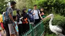 Pengunjung Ragunan tampak melihat Burung Rangkong saat libur Kenaikan Isa Almasih, Jakarta, Kamis (14/5/2015) Jelang Hari Libur panjang Warga Jakarta dan sekitarnya  memanfaatkan liburan ke Tempat Wisata. (Liputan6.com/Helmi Afandi)
