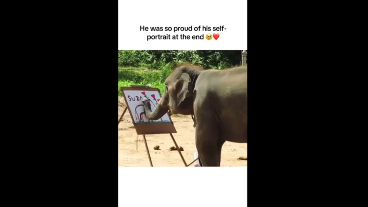 Aksi Gajah Gambar Potret dan Tulis Namanya Sendiri, Komentar Warganet Terbelah