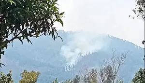 Cerita Tim Pemadam Cari Mata Air Usai Dikepung Titik Api di Argopuro