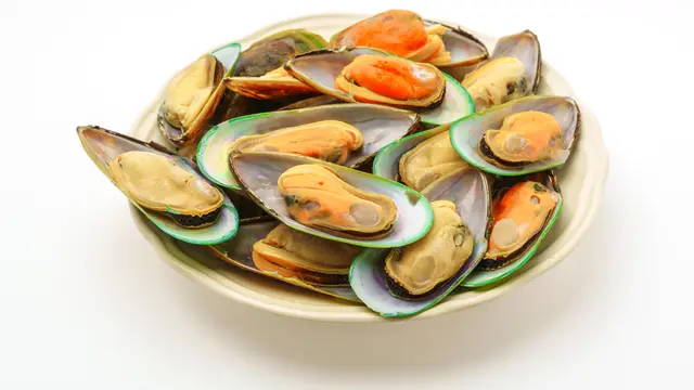 Ilustrasi Kerang