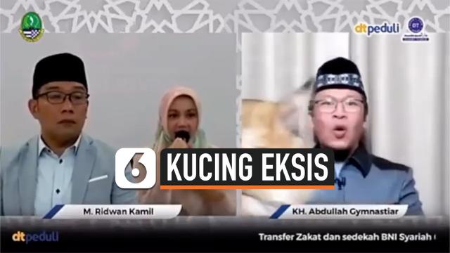Video Aksi Kucing Ikut Eksis Bareng Aa Gym Dan Ridwan Kamil Citizen6 Liputan6 Com