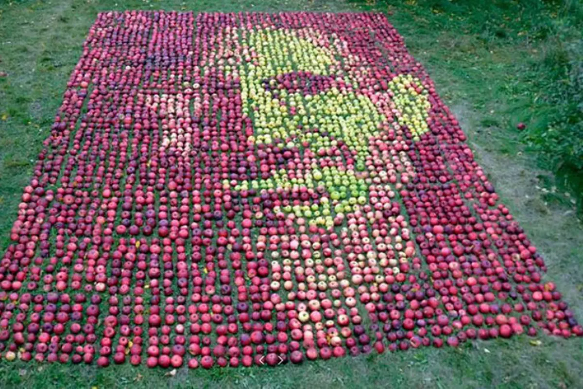 Artis Ini Ciptakan Siluet Steve Jobs dari Buah Apel