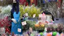 Seorang pedagang menata bunga pada hari pembukaan pasar bunga di Hong Kong (16/1/2023). Tahun Baru Imlek tahun ini jatuh pada tanggal 22 Januari 2023. (AFP/Peter Parks)