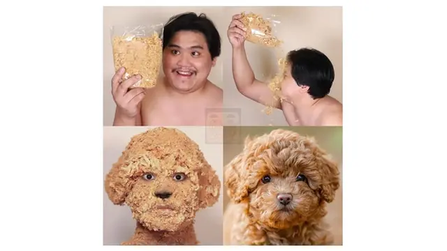 6 Cosplay Low Budget Jadi Hewan Ini Absurd, Kocak