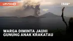 Gunung Anak Krakatau Bergejolak, Masyarakat diminta Waspada