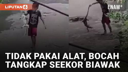 VIDEO: Tidak Pakai Alat, Bocah Tangkap Seekor Biawak di Tengah Jalan