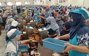 Ilustrasi - Buruh pabrik rokok di Kudus. (Liputan6.com/Arief Pramono)