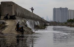 Namun, kali ini, Banjir rob di kawasan Muara Baru Jakarta diperparah dengan kebocoran dan rembesan pada tanggul laut di beberapa titik di Muara Baru, yang disebabkan oleh usia tanggul yang sudah tua dan korosi. Tampak dalam foto, seorang pria dengan pancingnya berjalan di atas tanggul laut raksasa yang dibangun untuk mencegah banjir di pesisir utara, seperti terlihat di Muara Baru, Jakarta pada Sabtu 6 Desember 2025. (ADITYA IRAWAN/AFP)