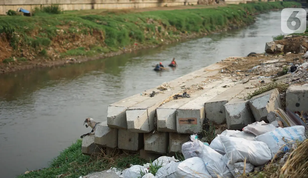 Tiang pancang menghiasi bantaran Sungai Ciliwung di kawasan Rawajati, Jakarta, Rabu (30/10/2019). Tiang-tiang pancang itu merupakan sisa proyek normalisasi Sungai Ciliwung dan telah berada di bantaran tersebut selama beberapa tahun terakhir. (Liputan6.com/Immanuel Antonius)