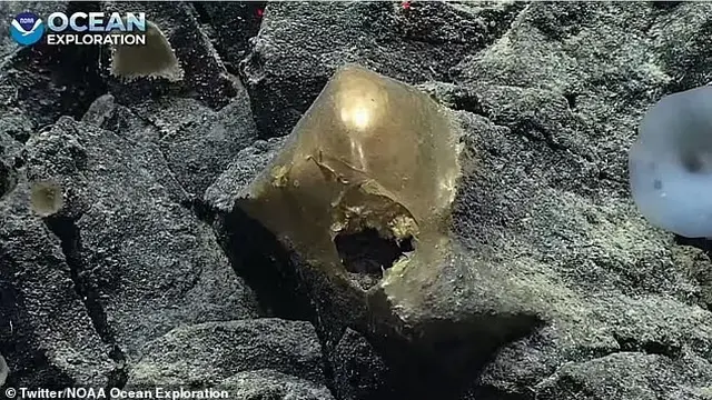 Penampakan objek misterius yang menyerupai telur emas