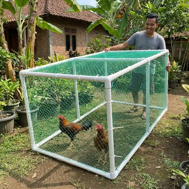 Model Kandang Ayam 'Knock Down', Bisa Bongkar Pasang