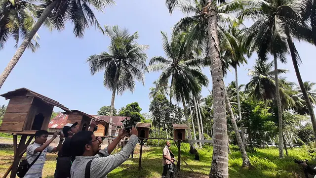 Sekolah Tinggi Ilmu Beruk (STIB) di Desa Apar, Kecamatan Pariaman Timur, Kota Pariaman, Provinsi Sumatera Barat (Liputan6.com/Ist).