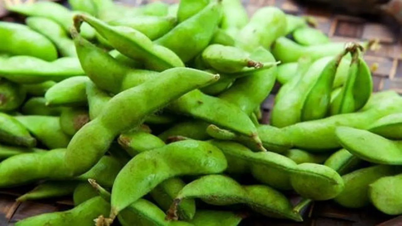 Edamame