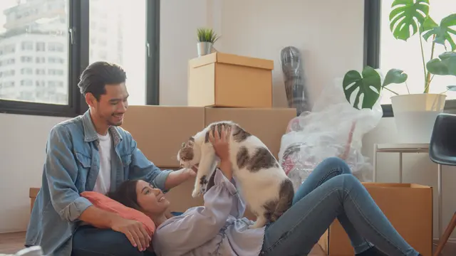 5 Zodiak yang Dikenal sebagai Cat Lover Sejati, Sampai Dianggap Keluarga Sendiri