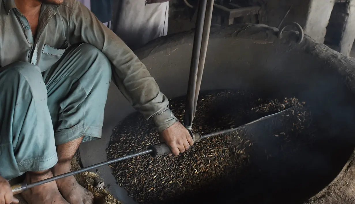 Seorang pedagang Pakistan megaduk kacang pinus  saat dipanggang di pasar di Lahore (13.12). Pakistan merupakan salah satu penghasil kacang pinus terbaik di dunia. (AFP Photo/Arif Ali)