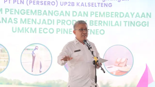Pemprov Kalsel Dukung UMKM Kreatif Lewat Pemanfaatan Daun Nanas Jadi Produk Bernilai Ekonomi