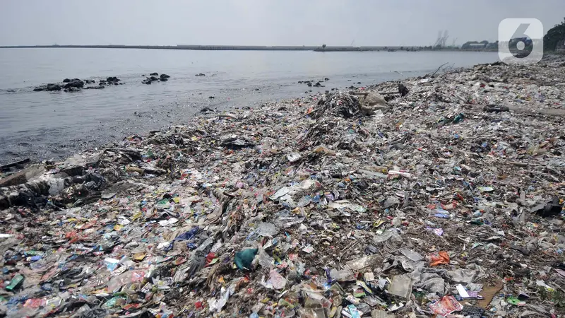 Sampah Laut di Pesisir Jakarta Kian Mengkhawatirkan