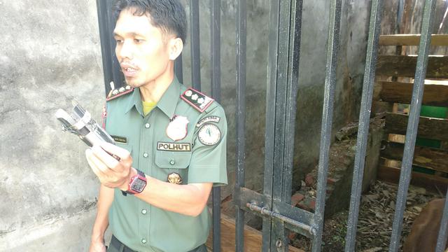 Kaki Palsu anoa yang akan dipasang setelah sembuh.(Liputan6.com/Ahmad Akbar Fua)