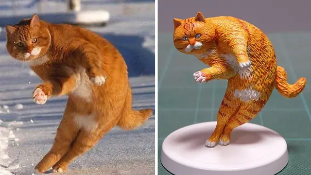 kucing