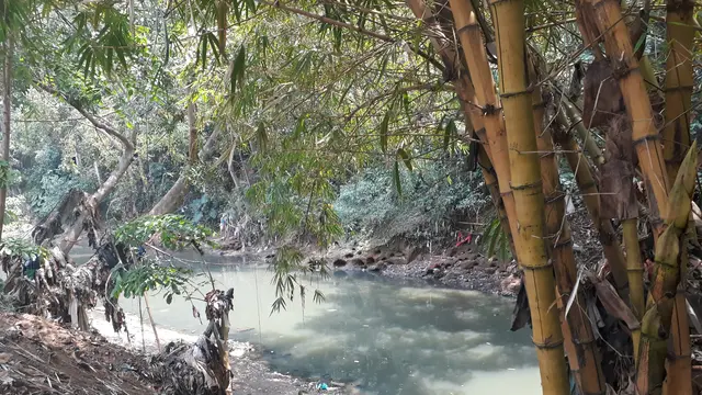 Ciliwung