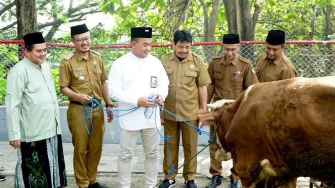 Berkah Idul Adha: 292 Hewan Kurban Tersebar di 19 Provinsi Indonesia, Sambut Kebahagiaan Bersama!