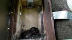 Seekor burung hantu yang berada di sarang yang dinamakan "Smart Nest Box" di hutan dekat Desa Mikulov, Republik Ceko (18/6). Sarang ini telah di modifikasi menjadi sarang canggih yang dapat di operasikan menggunakan laptop. (REUTERS / David W Cerny)