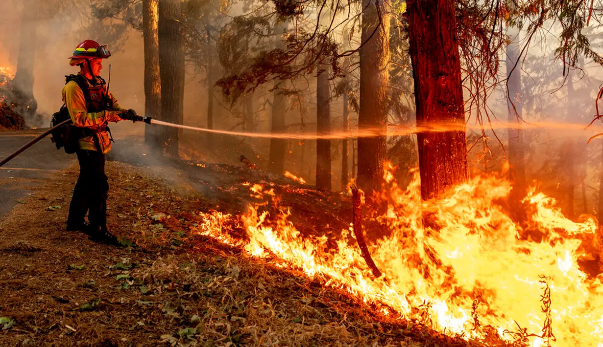 <p>Kapten Gabe Barrio menyemprotkan air ke Mosquito Fire yang menyala di sepanjang Michigan Bluff Rd, Placer County, California, Amerika Serikat, 7 September 2022. (AP Photo/Noah Berger)</p>