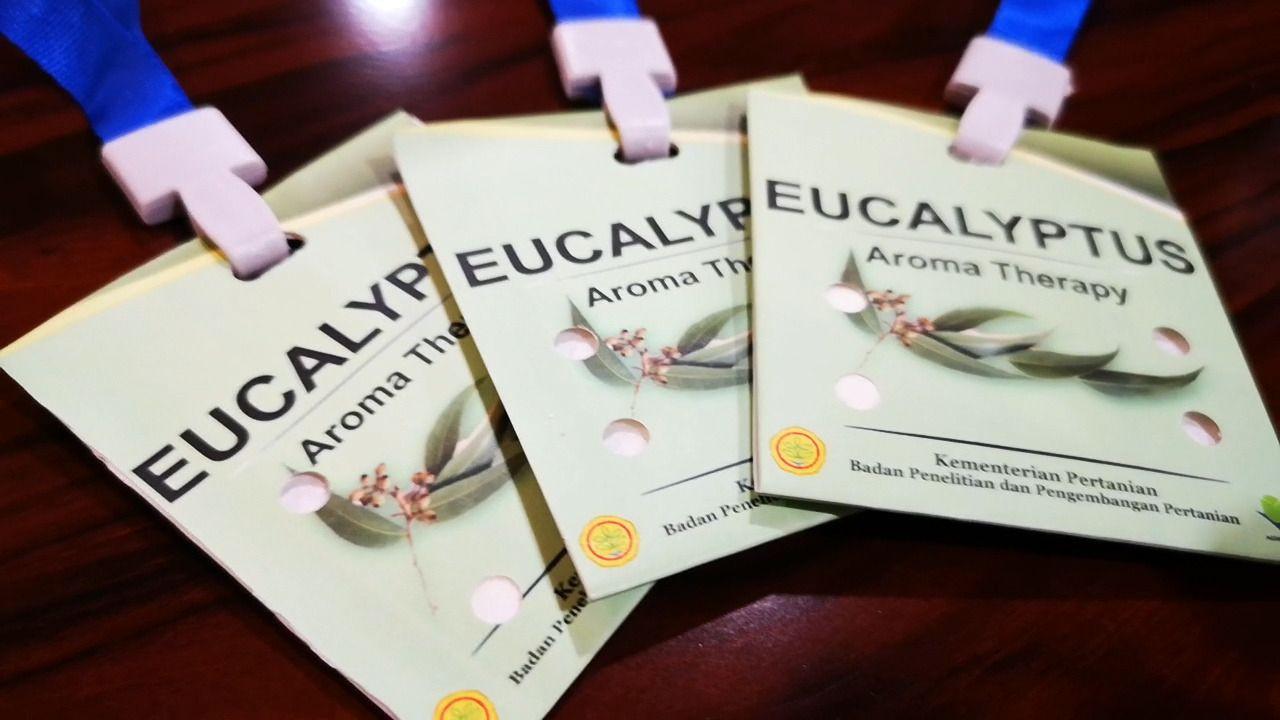 Kalung dari tanaman eucalyptus sebagai produk kesehatan. Kalung ini dipercaya bisa menjadi antivirus Corona. (Dok Kementan)