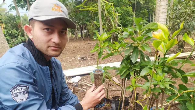 Reza Mulyana, 26 tahun, petani milenial sekaligus penangkar bibit tanaman asal Garut, Jawa Barat, sukses menghasilkan bibit tanaman dari metode persilangan micro cloning pertama di tanah air.