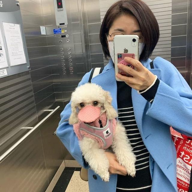 Anjing Pakai Masker di China