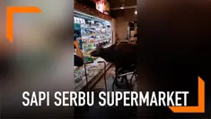 Kawanan sapi liar tiba-tiba masuk ke dalam supermarket dan melahap makanan-makanan yang ada di sana. Pengunjung supermarket pun heboh karena kedatangan sapi yang kelaparan ini.